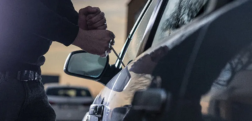 Car Anti Theft Device