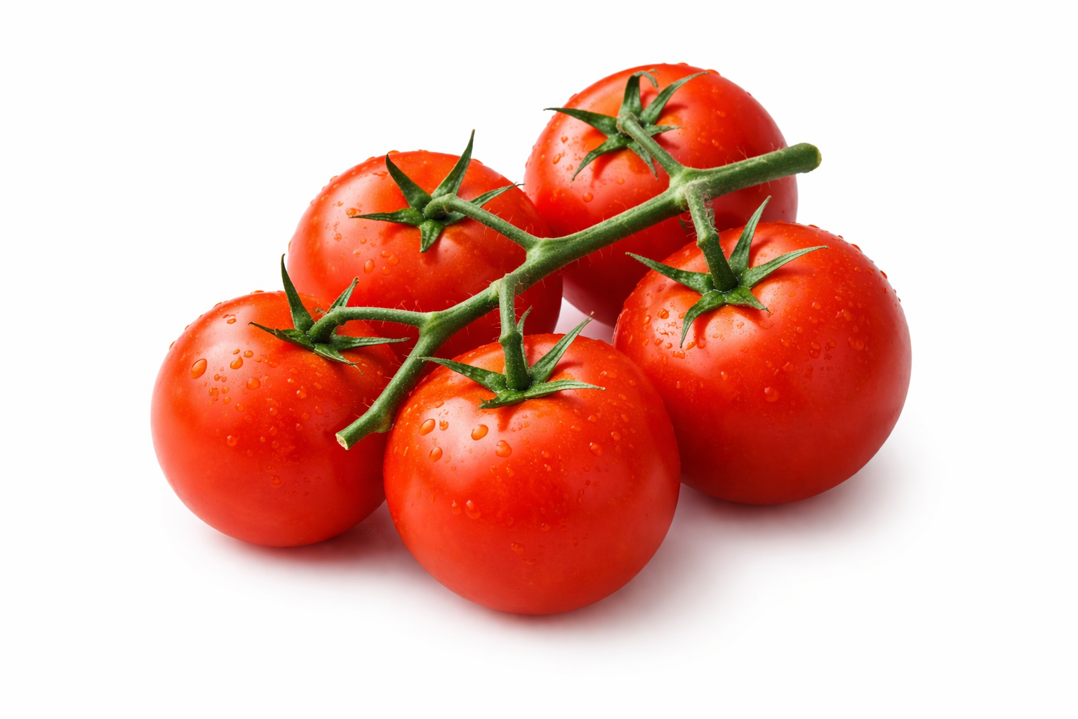 tomato.webp